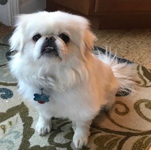 Meet your Posher, Dania